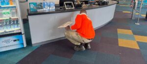 RECEPTION AREA UPGRADES AT MELTON cover